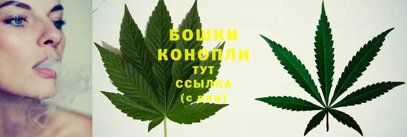 Конопля THC 21%  купить наркоту  Курлово 